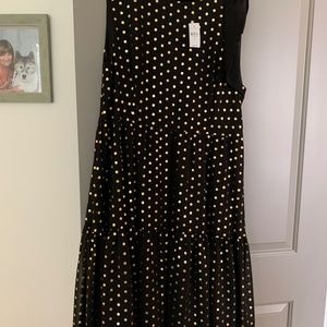 Ann Taylor Dress